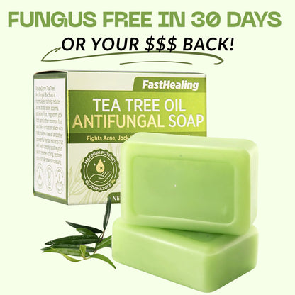 Tea Tree Oil AntiFungal Soap